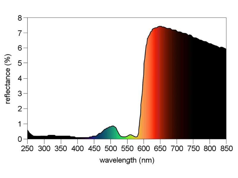 R values graph-5