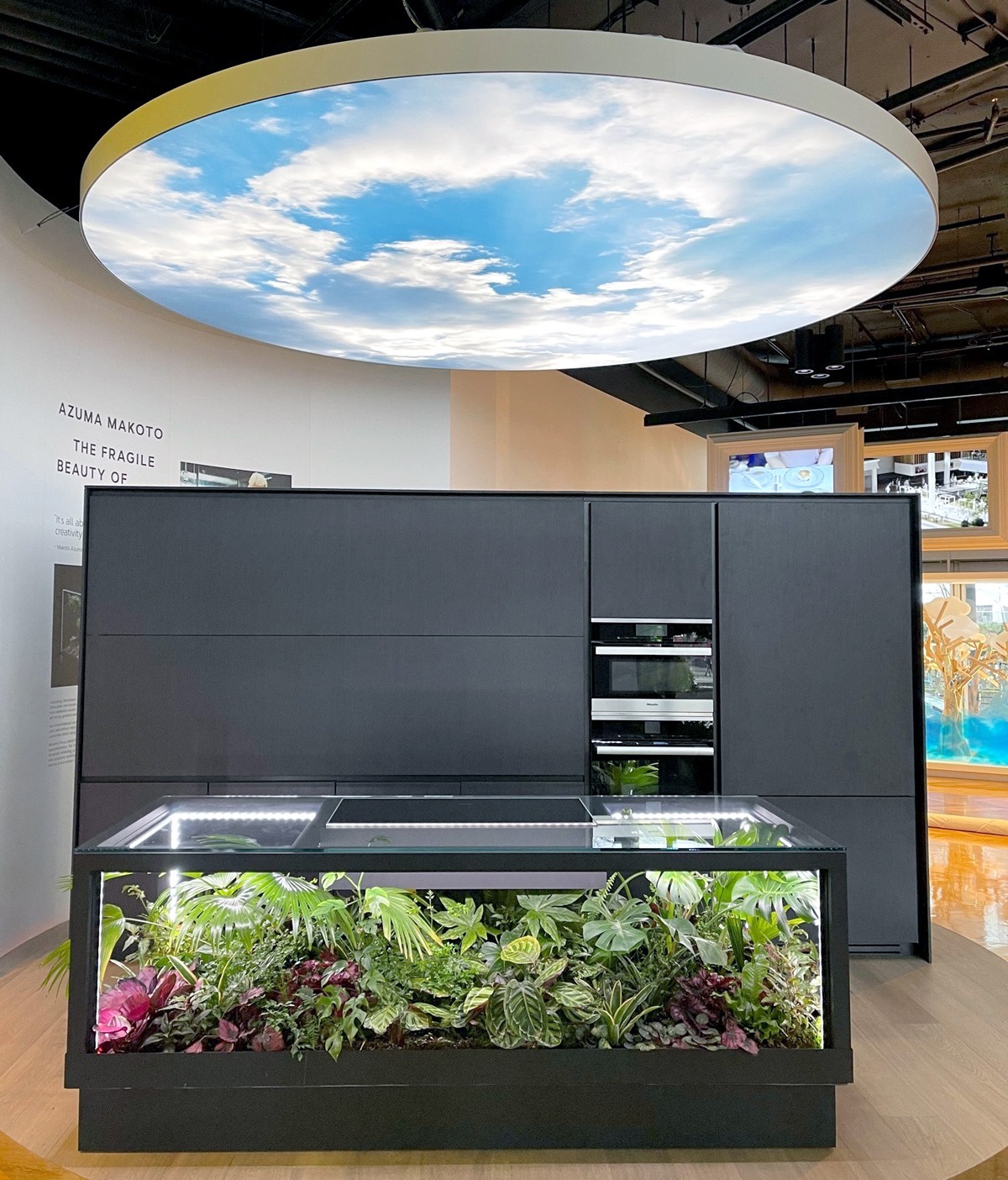 Graphics Applications